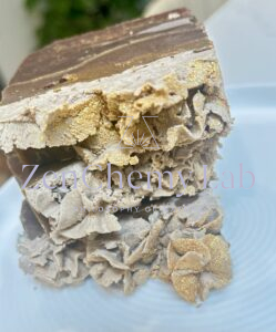 Pecan Gingerbread artisan soap 
